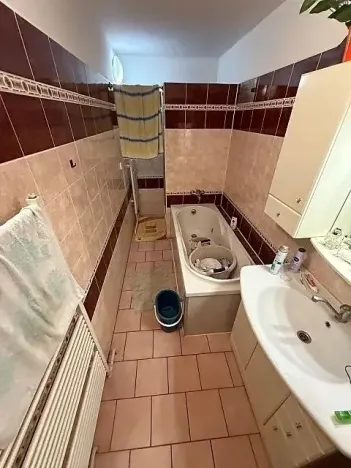 Pronájem vícegeneračního domu, Mladá Boleslav, Jiráskova, 490 m2