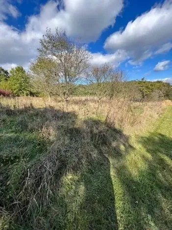 Prodej lesa, Březolupy, 29958 m2