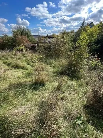 Prodej lesa, Březolupy, 628 m2