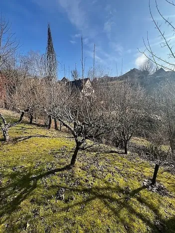 Prodej podílu rodinného domu, Soběšín, 200 m2