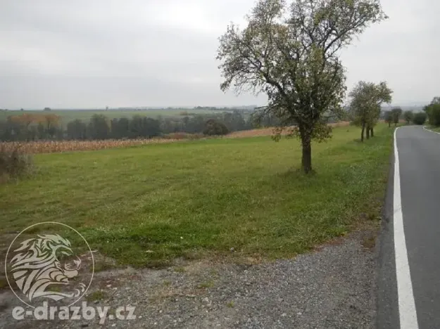 Dražba sadu/vinice, Třebovle, 4678 m2