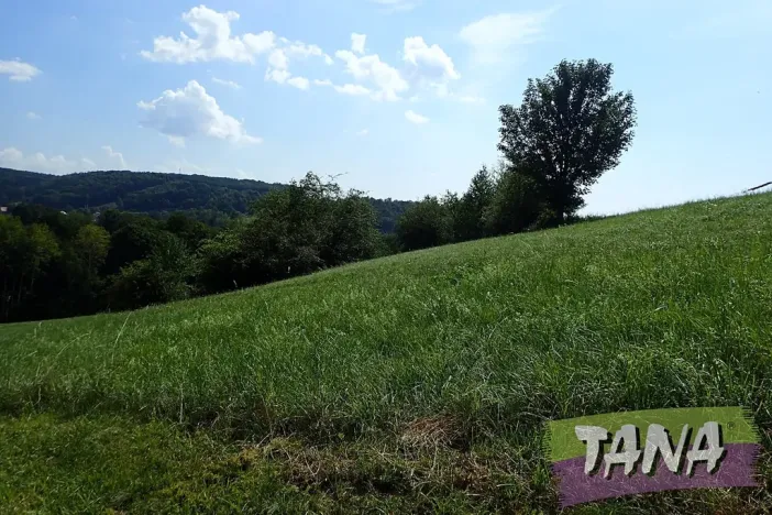 Prodej louky, Hodkovice nad Mohelkou, 49051 m2