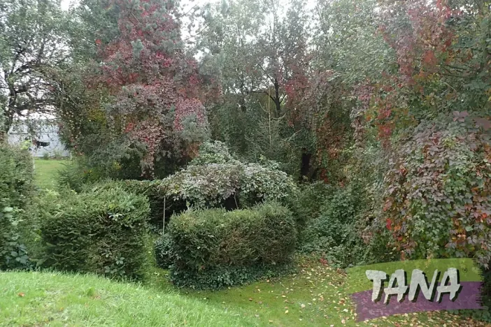 Prodej podílu pozemku pro bydlení, Mladějov, 382 m2