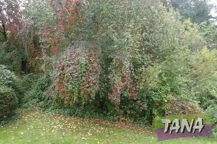 Prodej podílu pozemku pro bydlení, Mladějov, 382 m2