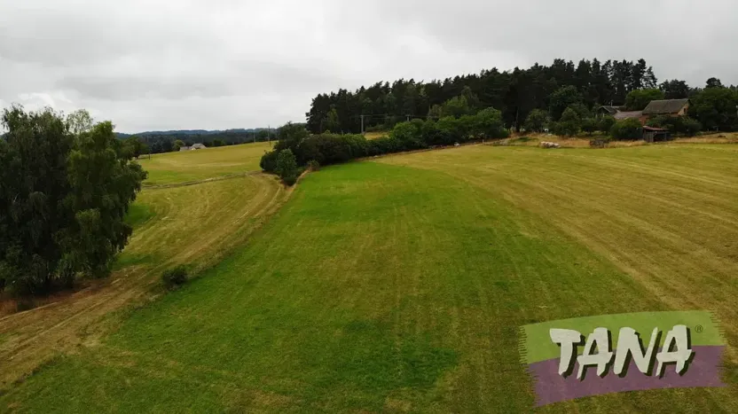 Prodej louky, Hlavice, 24694 m2