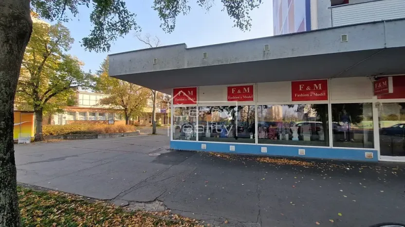 Pronájem obchodního prostoru, Pardubice, Palackého třída, 465 m2