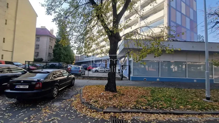 Pronájem obchodního prostoru, Pardubice, Palackého třída, 465 m2