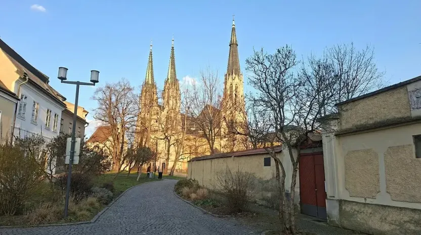 Pronájem bytu 1+1, Olomouc, Mlčochova, 55 m2