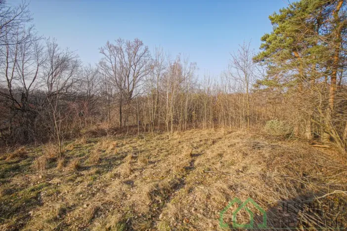 Prodej pozemku pro bydlení, Bernartice - Buková, 15640 m2