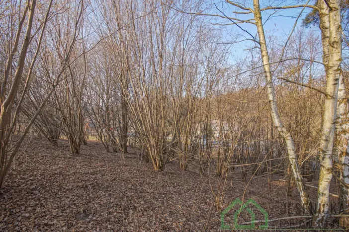 Prodej pozemku pro bydlení, Bernartice - Buková, 15640 m2