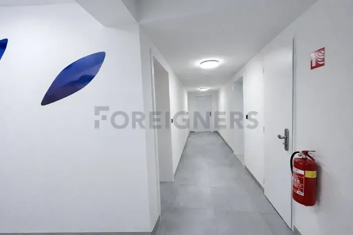 Pronájem bytu 1+kk, Brno, Fryčajova, 30 m2