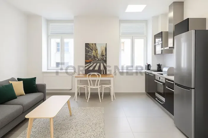 Pronájem bytu 2+kk, Brno, Jakubské náměstí, 46 m2