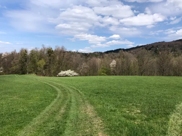Prodej louky, Frýdlant nad Ostravicí, 44238 m2