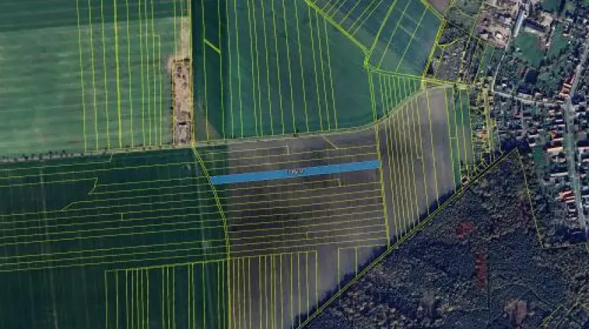 Prodej podílu pole, Nový Ples, 2568 m2