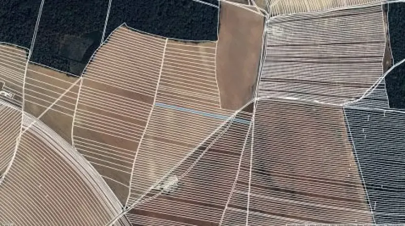 Prodej pole, Dolní Bojanovice, 3004 m2