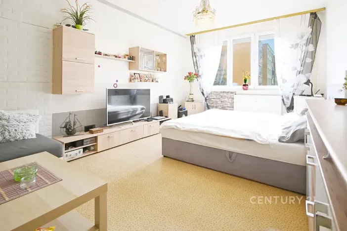 Prodej bytu 1+1, Žatec, Lípová, 40 m2