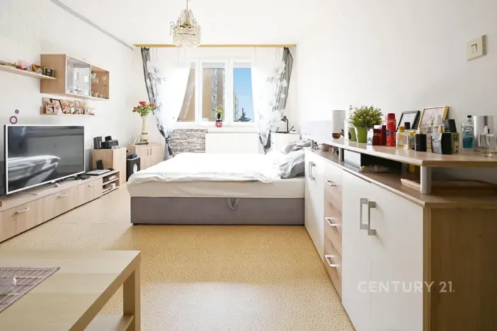 Prodej bytu 1+1, Žatec, Lípová, 40 m2