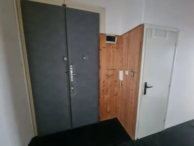 Pronájem bytu 1+1, Brno, bratří Čapků, 55 m2