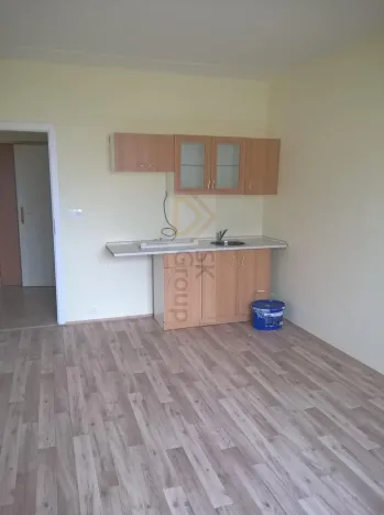 Pronájem bytu 1+kk, Karlovy Vary - Rybáře, U Koupaliště, 26 m2
