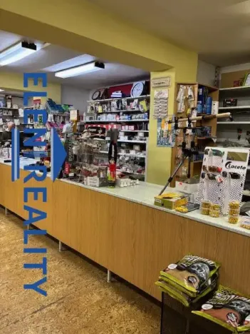 Pronájem obchodního prostoru, Jeseník, Masarykovo nám., 230 m2