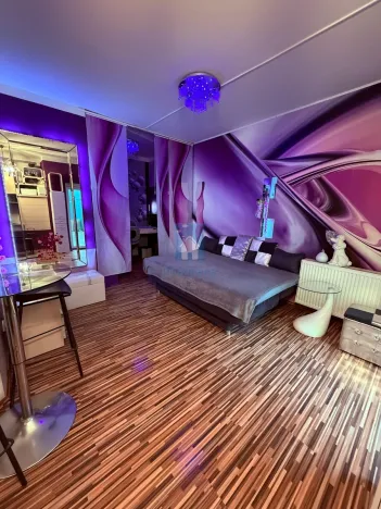 Pronájem bytu 1+kk, Plzeň, Koterovská, 35 m2