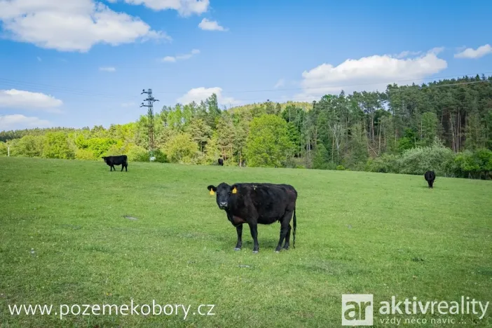 Prodej pozemku pro bydlení, Obory, 1147 m2