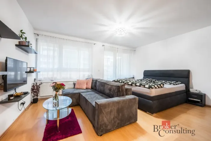 Prodej bytu 1+kk, Brno - Líšeň, Holzova, 87 m2