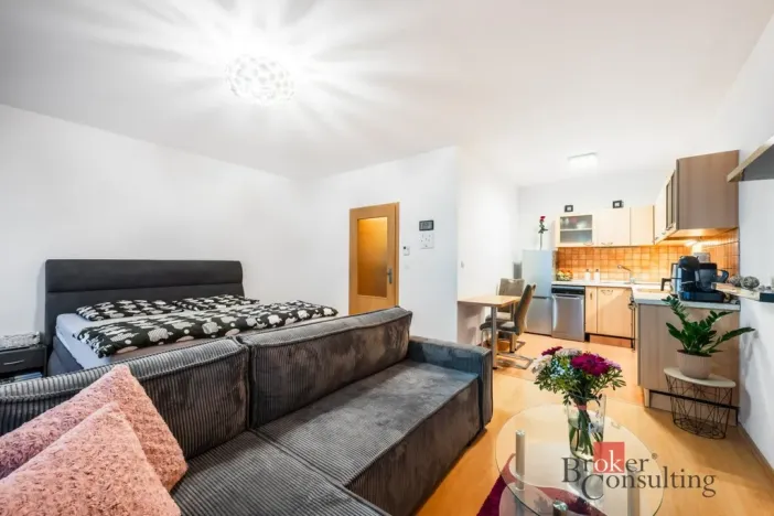 Prodej bytu 1+kk, Brno - Líšeň, Holzova, 87 m2