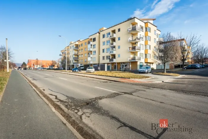 Prodej bytu 1+kk, Brno - Líšeň, Holzova, 87 m2