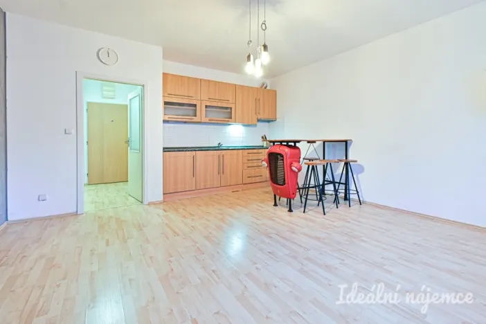 Pronájem bytu 1+kk, Brno - Staré Brno, Trýbova, 34 m2