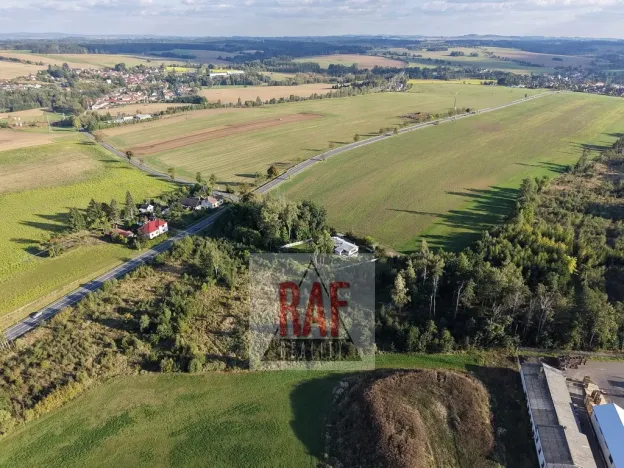 Prodej lesa, Sazomín, 11295 m2