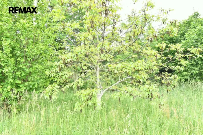 Prodej pozemku pro bydlení, Nový Bydžov - Vysočany, 4580 m2