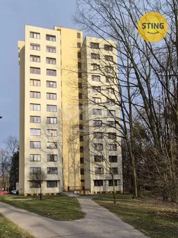 Pronájem bytu 1+kk, Ostrava, Čujkovova, 28 m2