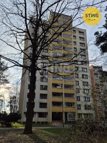 Pronájem bytu 1+kk, Ostrava, Čujkovova, 28 m2