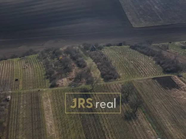 Prodej pozemku, Brumovice, 4065 m2