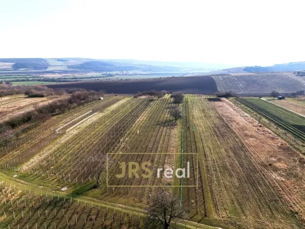 Prodej pozemku, Brumovice, 4065 m2