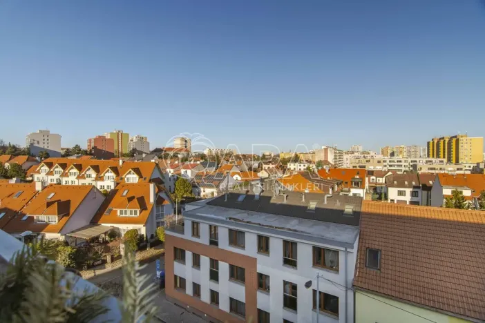 Prodej bytu 1+kk, Praha - Žižkov, Na Vackově, 38 m2