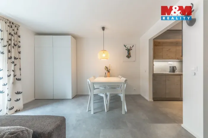 Prodej bytu 1+kk, Janov nad Nisou, 29 m2