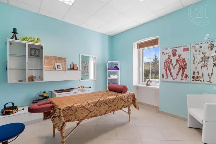 Prodej komerční nemovitosti, Děčín, Vilsnická, 900 m2