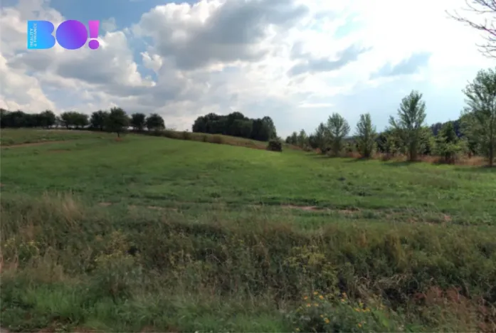 Prodej pole, Veletiny, 5908 m2