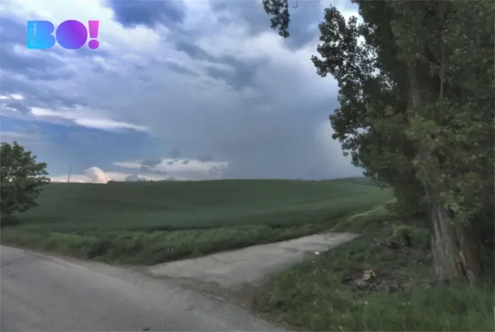 Prodej pole, Veletiny, 5908 m2