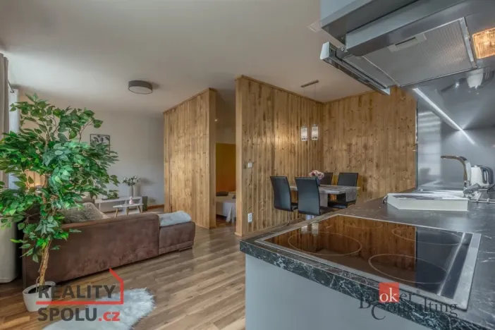 Pronájem bytu 2+kk, Praha - Nusle, U družstva Repo, 51 m2