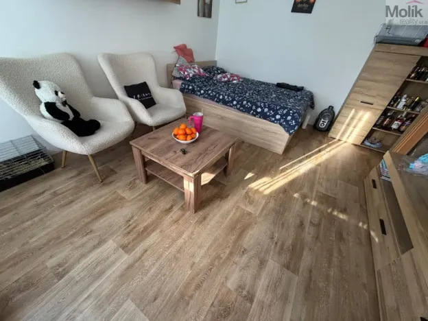 Prodej bytu 1+1, Most, K. H. Borovského, 27 m2