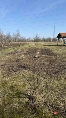 Prodej zahrady, Sokolnice, 420 m2