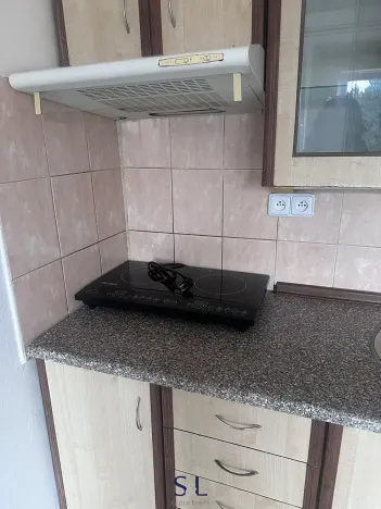 Pronájem bytu 1+1, Roudnice nad Labem, Riegrova, 37 m2