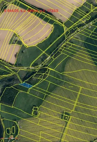 Prodej lesa, Mnich, 1237 m2