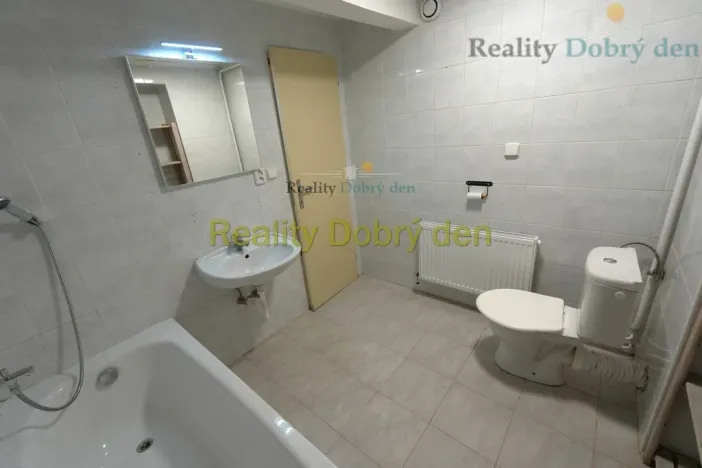 Pronájem bytu 1+1, Opava, Bochenkova, 55 m2