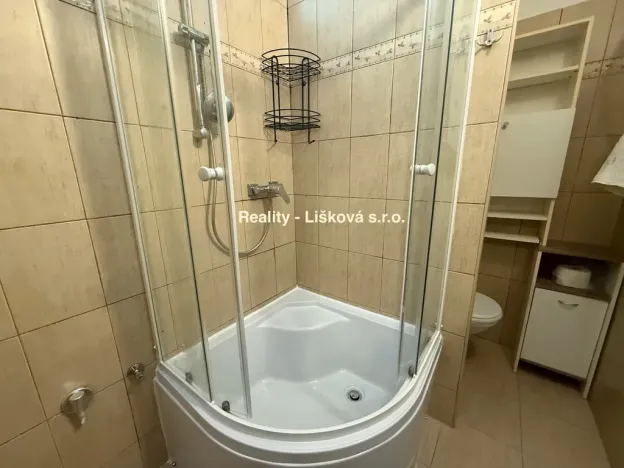 Pronájem bytu 3+1, Ústí nad Labem - Střekov, Kamenná, 65 m2