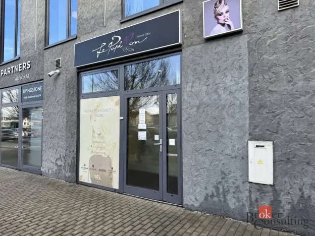 Pronájem komerční nemovitosti, Plzeň - Severní Předměstí, Otýlie Beníškové, 11 m2