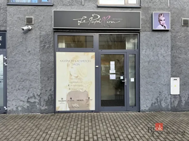 Pronájem komerční nemovitosti, Plzeň - Severní Předměstí, Otýlie Beníškové, 11 m2